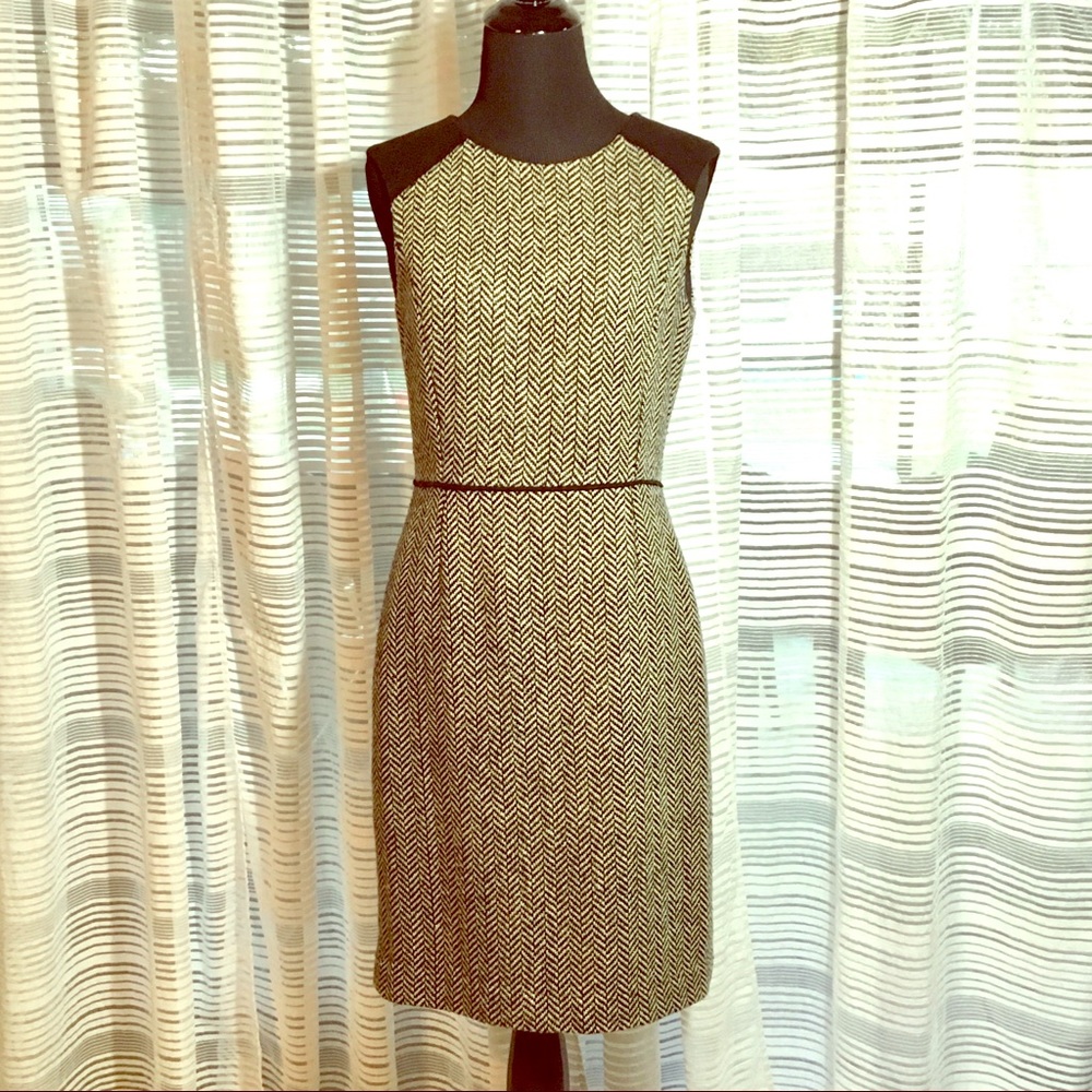 Classy Banana Republic Dress